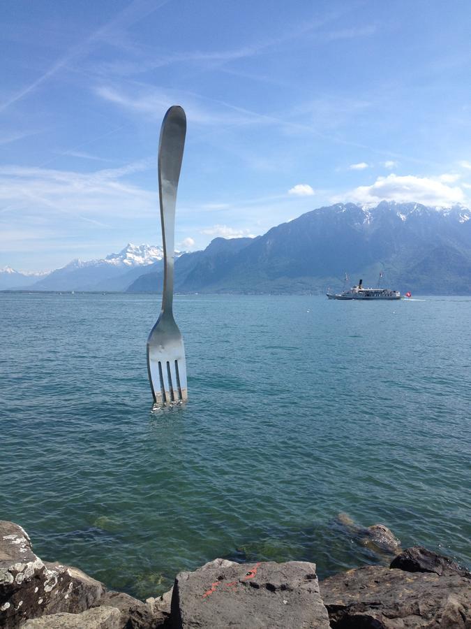 होटल के अलावा De L'hotel De Vevey